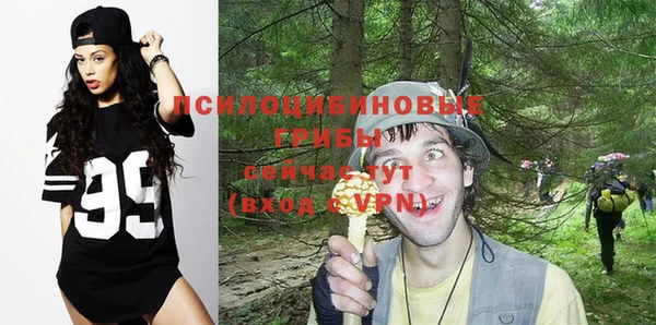таблы Алексеевка