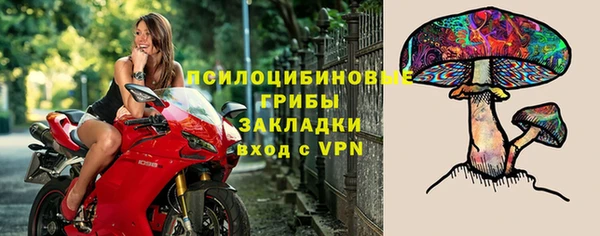 таблы Алексеевка